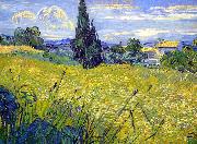 Vincent Van Gogh Landscape with Green Corn painting